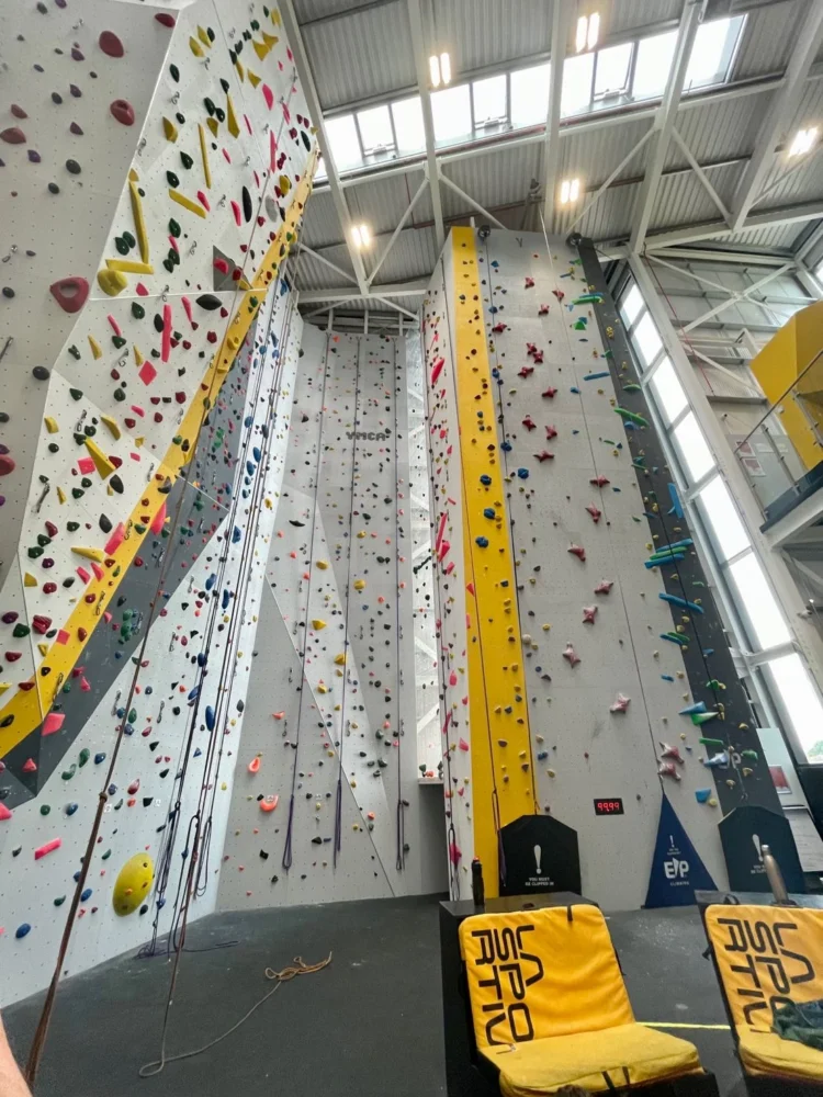 REGISTRATION FULL: Odyssey Rock Climbing – No School for NJSD image